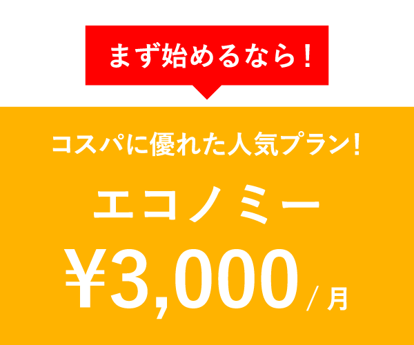 まず始めるなら！コスパに優れた人気プラン！エコノミー¥3,000/月